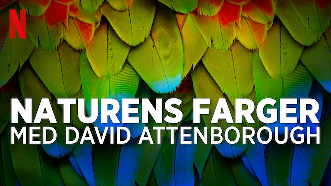 Naturens farger med David Attenborough